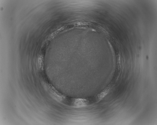 X0000053060222200508011922