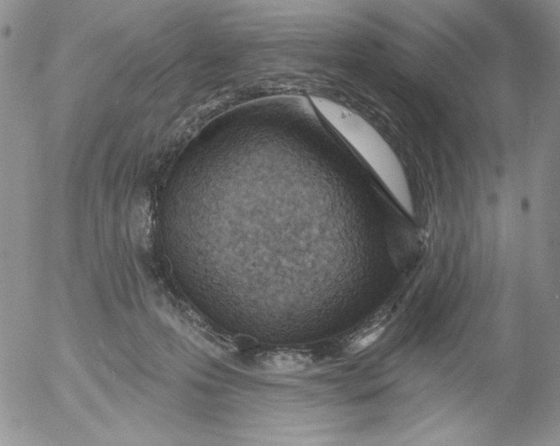 X0000053060223200508011922