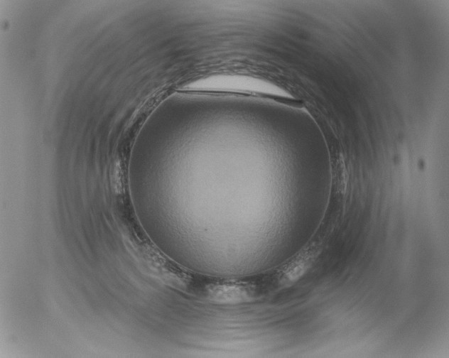 X0000053060224200508011922