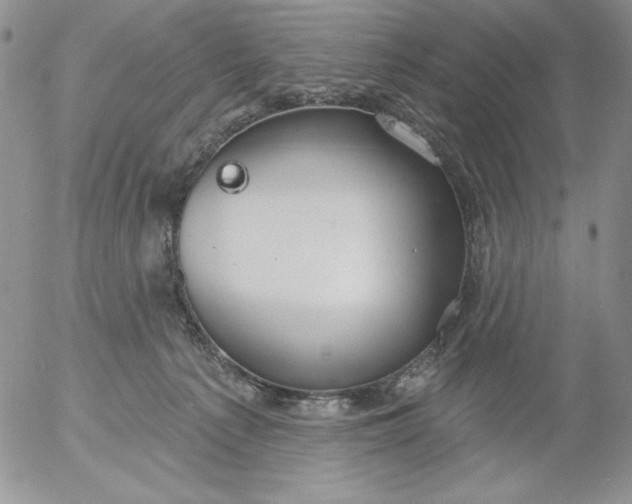 X0000053060225200508011922