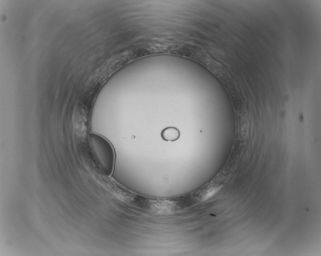 X0000053060226200508011922