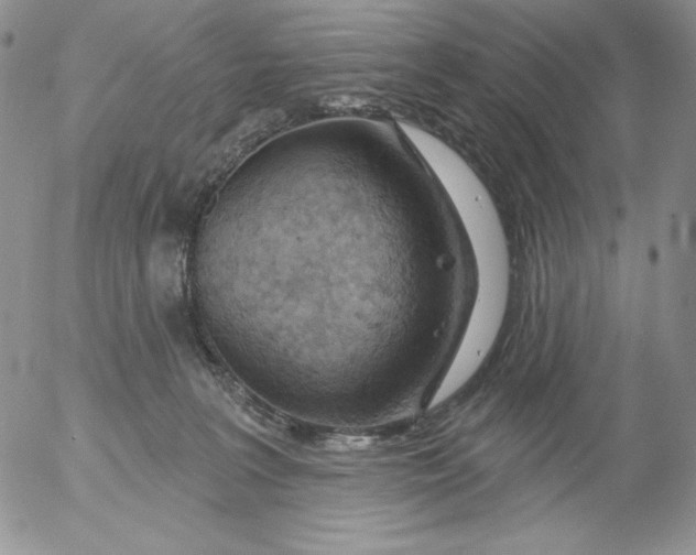 X0000053060227200508011922