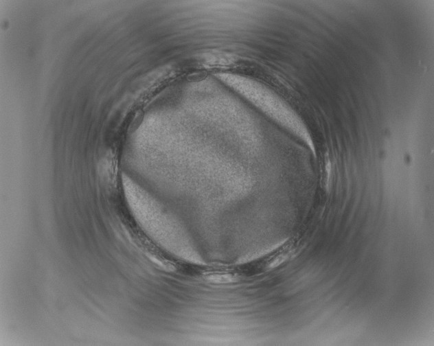 X0000053060228200508011922