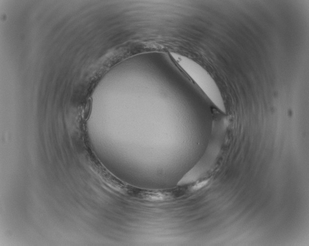 X0000053060229200508011922