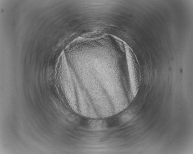 X0000053060230200508011922