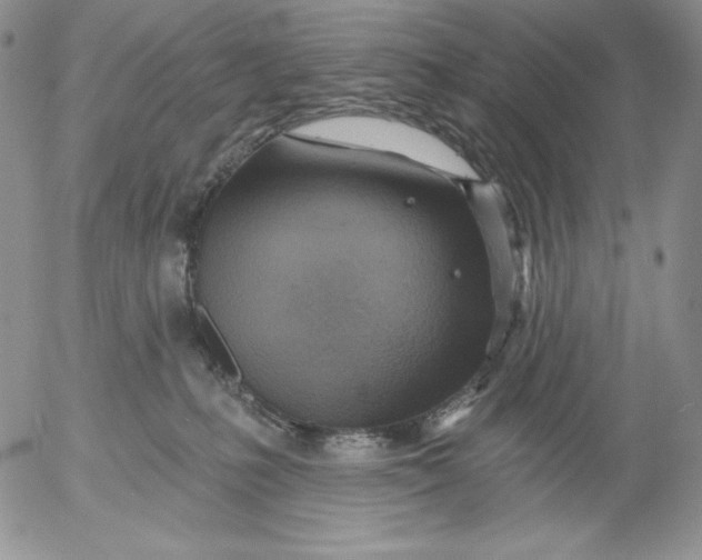 X0000053060231200508011922