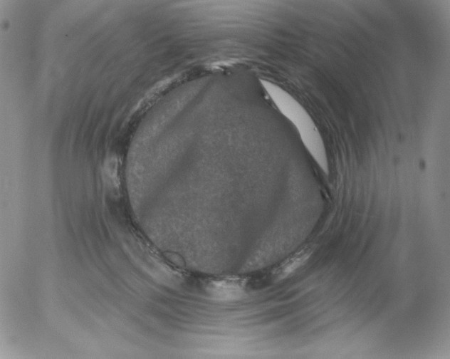 X0000053060232200508011922