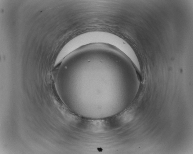 X0000053060233200508011922