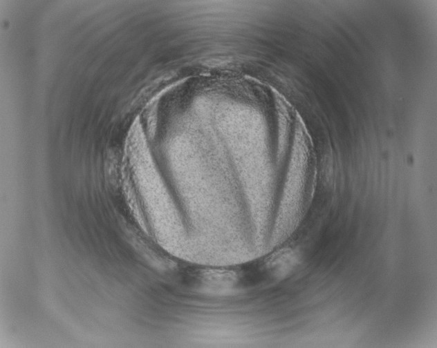 X0000053060234200508011922