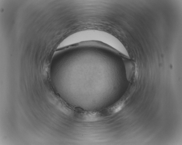 X0000053060235200508011922