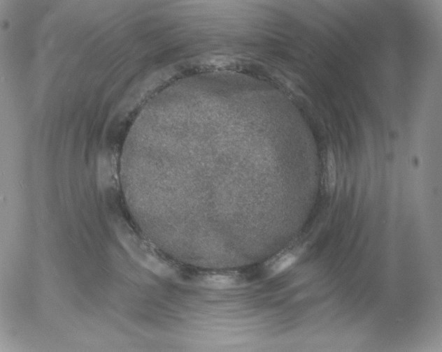 X0000053060236200508011922