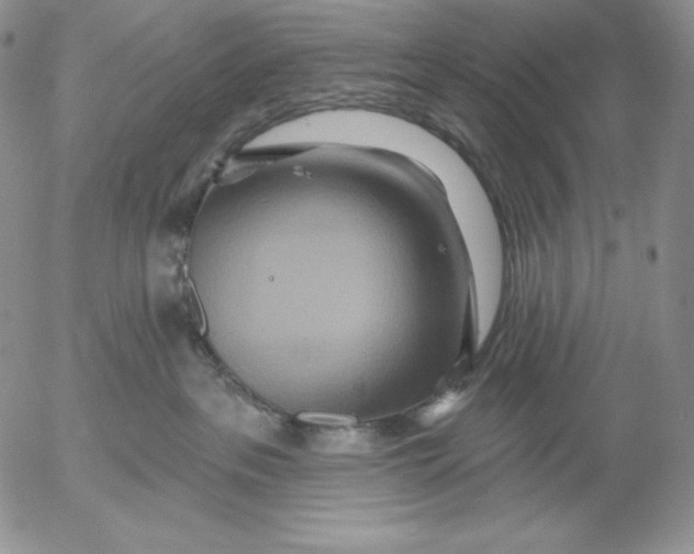 X0000053060237200508011922