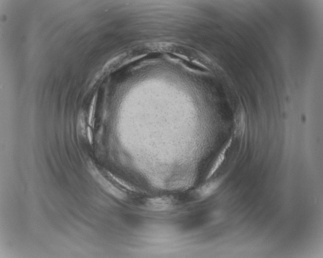 X0000053060238200508011922