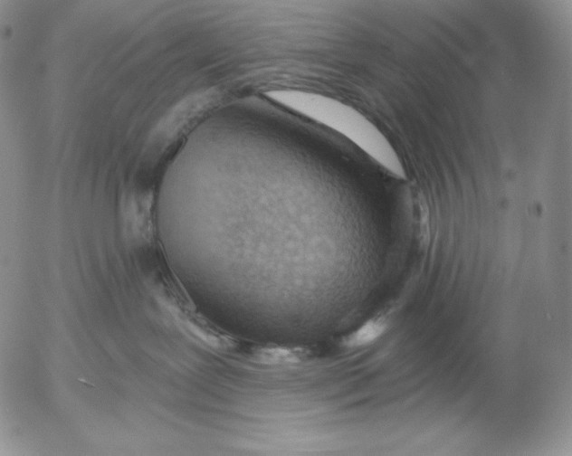 X0000053060239200508011922