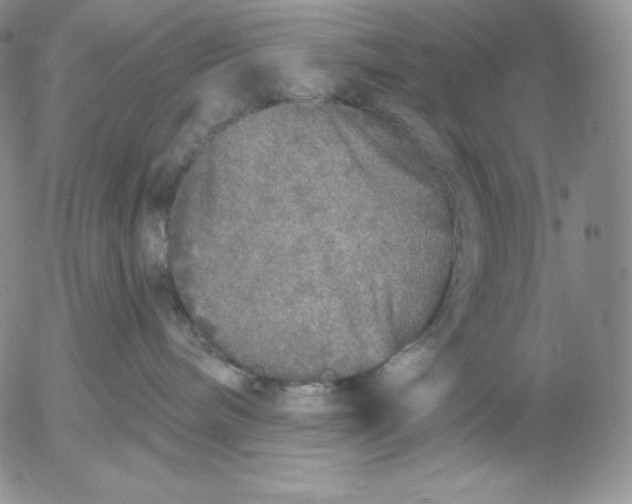 X0000053060240200508011922