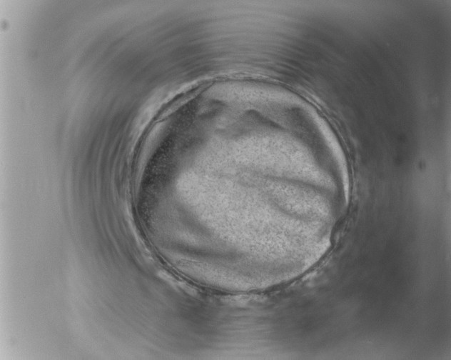 X0000053060241200508011921