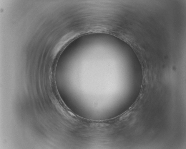 X0000053060242200508011921