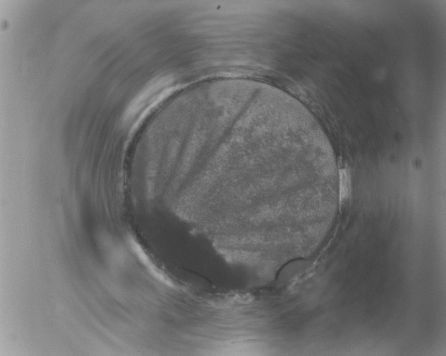 X0000053060243200508011921