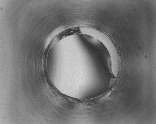 X0000053060244200508011921