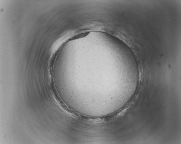 X0000053060245200508011921