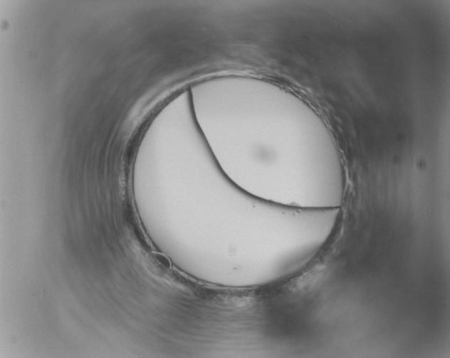 X0000053060247200508011921