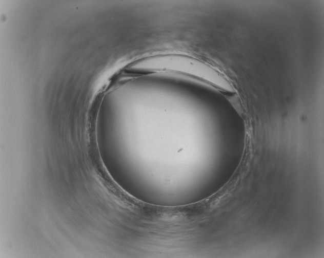 X0000053060248200508011921