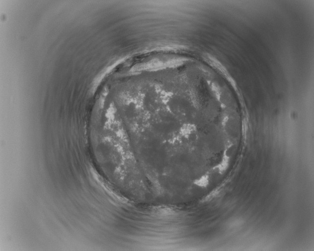 X0000053060249200508011921