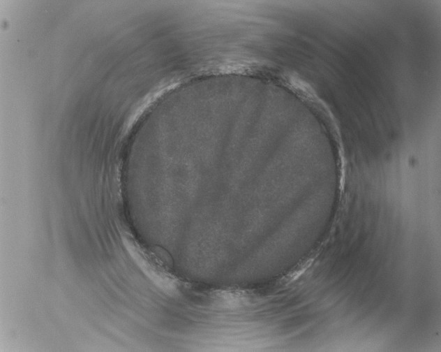 X0000053060250200508011921