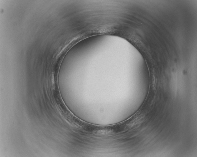 X0000053060251200508011921