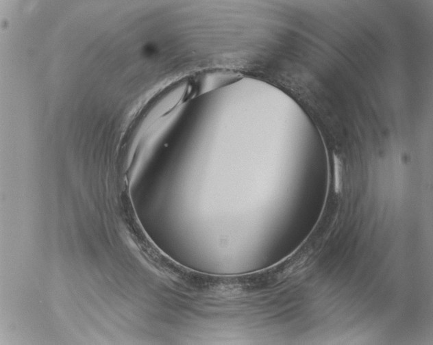 X0000053060252200508011921