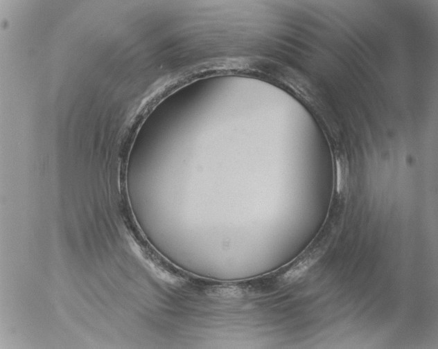 X0000053060253200508011921