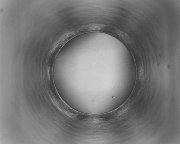 X0000053060254200508011921