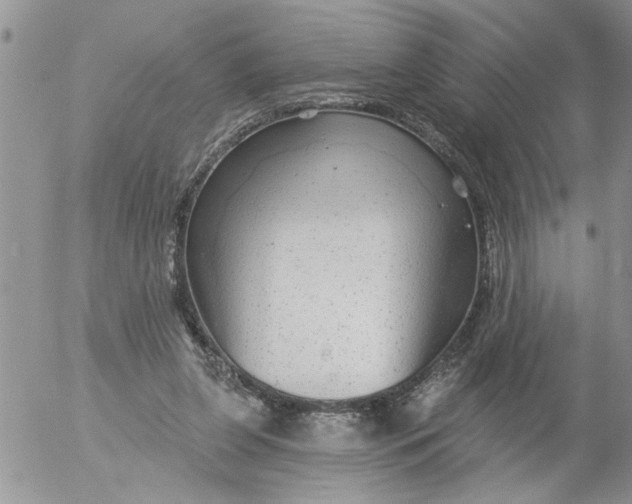 X0000053060255200508011921