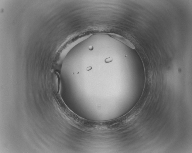 X0000053060256200508011921