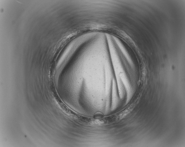 X0000053060257200508011921