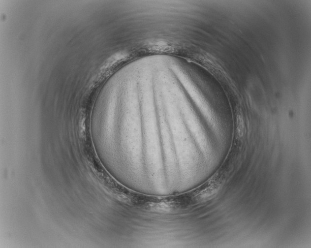 X0000053060259200508011921