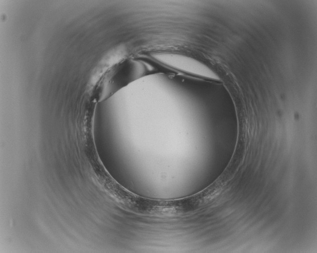 X0000053060260200508011921