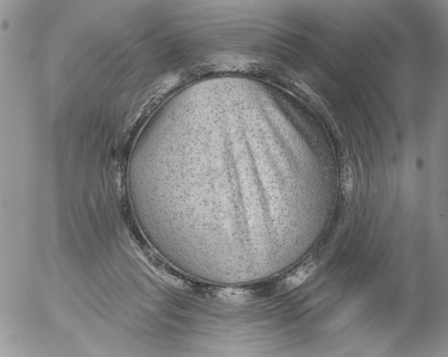 X0000053060261200508011921