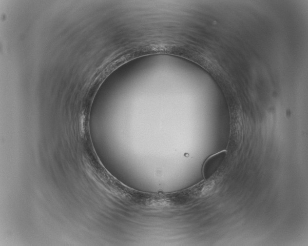 X0000053060262200508011922