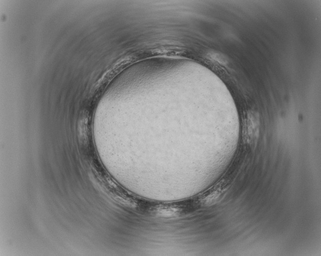 X0000053060263200508011922