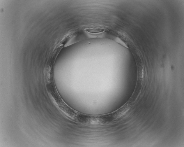 X0000053060264200508011922