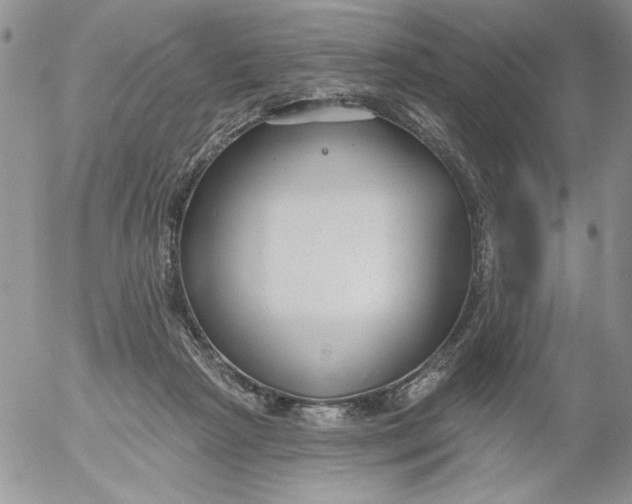 X0000053060265200508011922