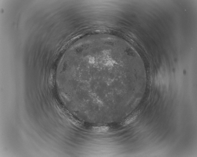 X0000053060266200508011922