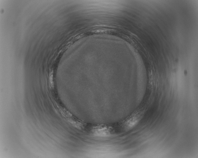 X0000053060267200508011922