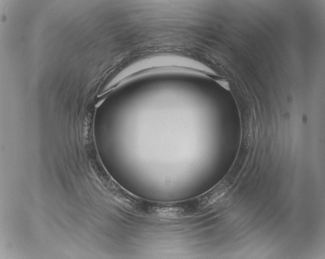 X0000053060268200508011922