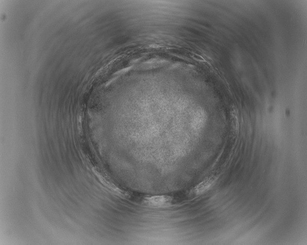 X0000053060269200508011922