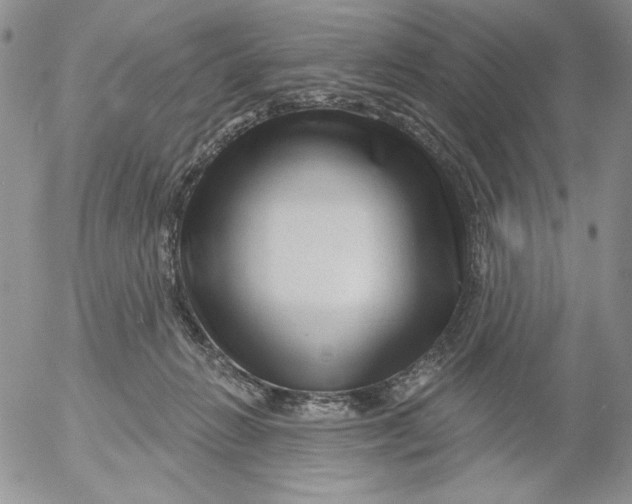 X0000053060270200508011922