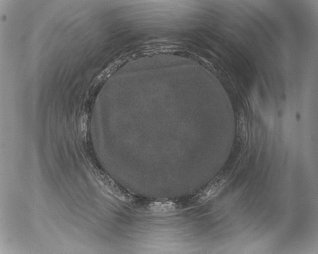 X0000053060271200508011922