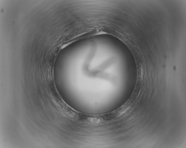 X0000053060272200508011922