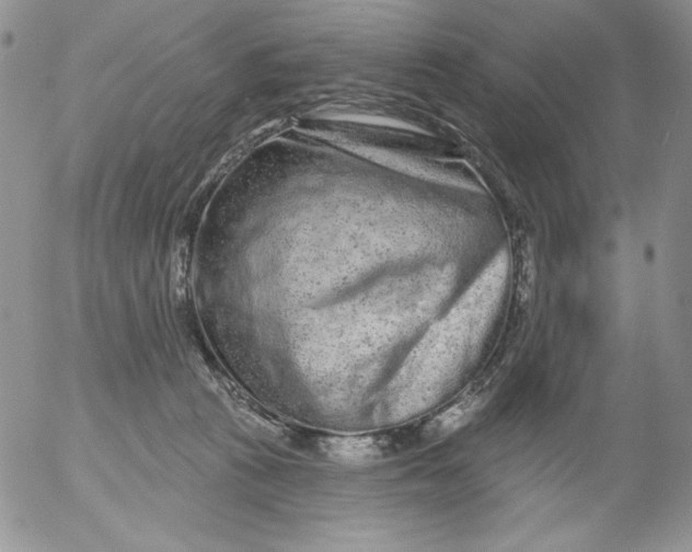 X0000053060273200508011922